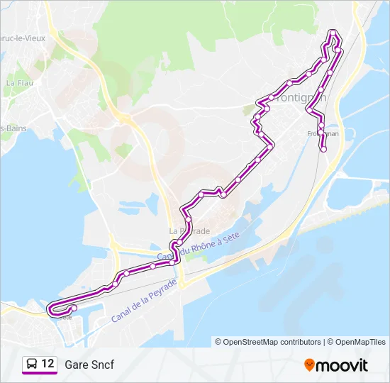 12 Bus Line Map