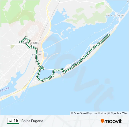 16 Bus Line Map