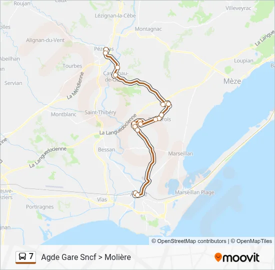 7 Bus Line Map