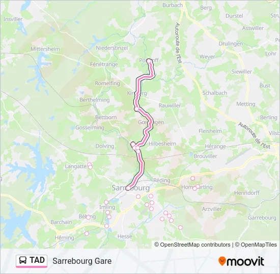 TAD Bus Line Map