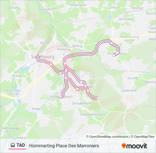 TAD Bus Line Map