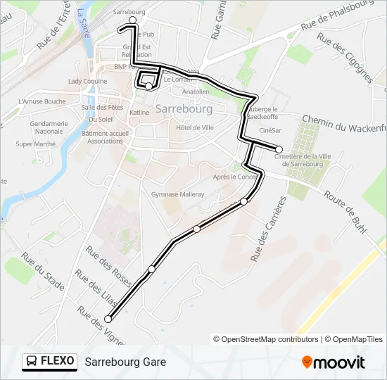 FLEXO Bus Line Map