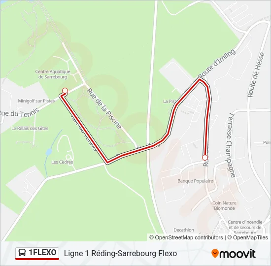 1FLEXO Bus Line Map