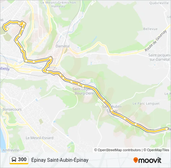 300 Bus Line Map