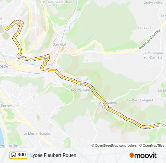 300 Bus Line Map