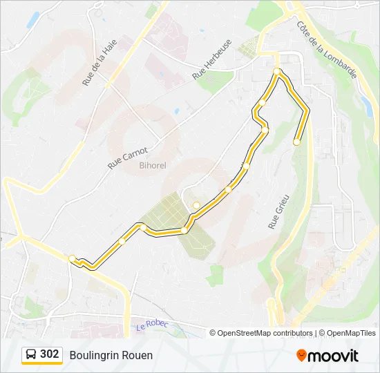 302 Bus Line Map