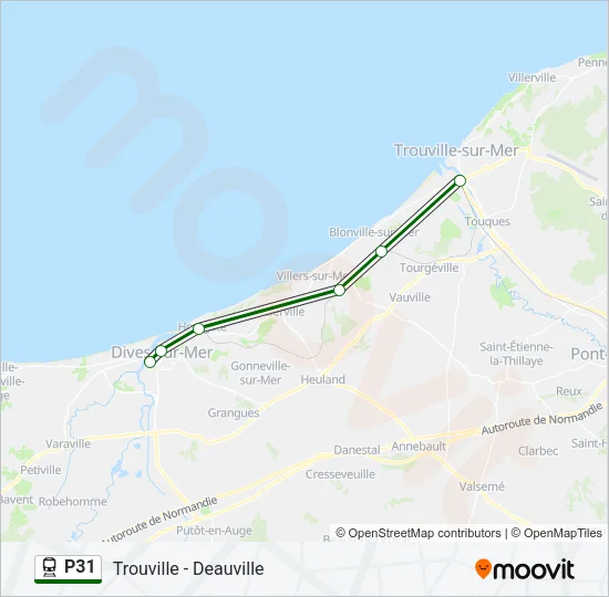 P31 Train Line Map