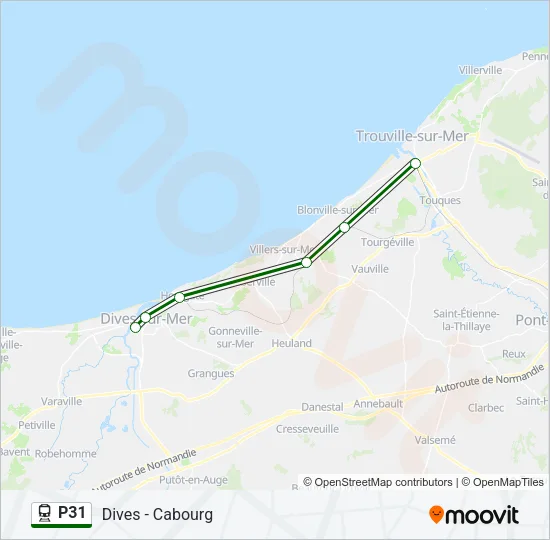 P31 Train Line Map