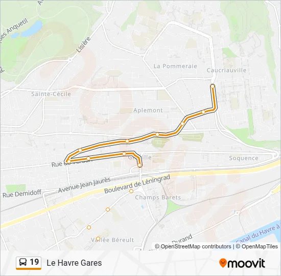 19 Bus Line Map