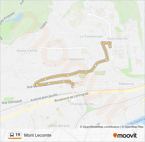 19 Bus Line Map
