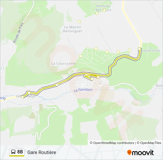 8B Bus Line Map