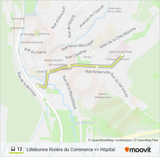 12 Bus Line Map