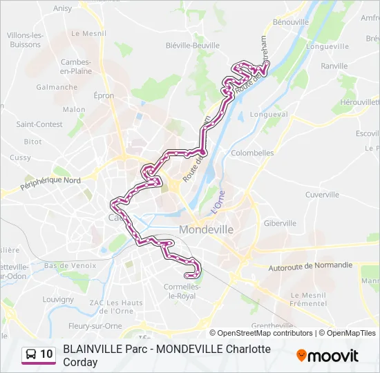 10 Bus Line Map