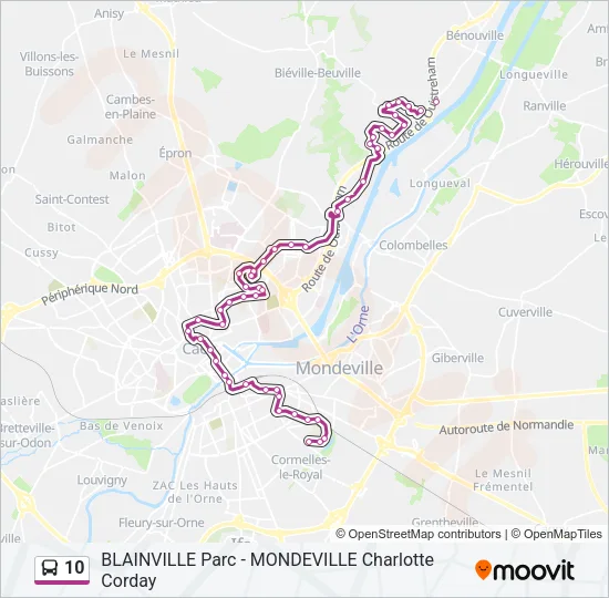 10 Bus Line Map