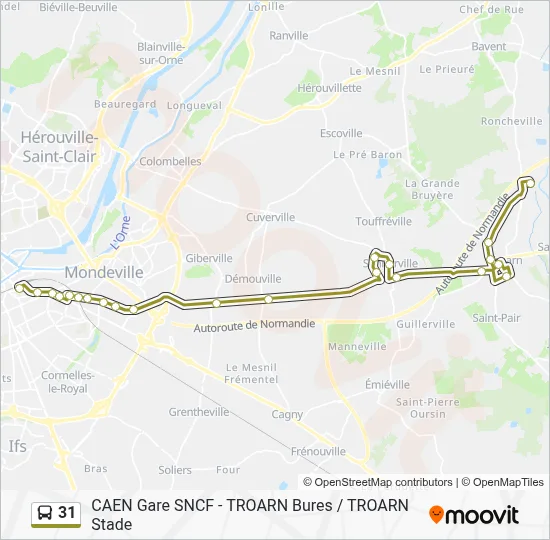31 Bus Line Map