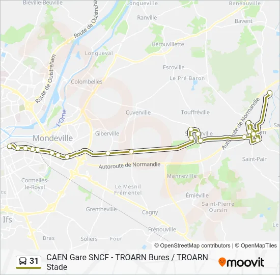 31 Bus Line Map