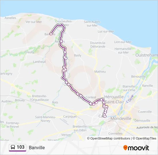 103 Bus Line Map
