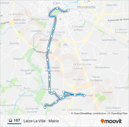 Mapa de 107 de autobús