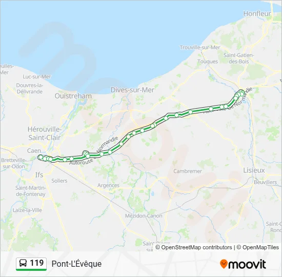 119 Bus Line Map