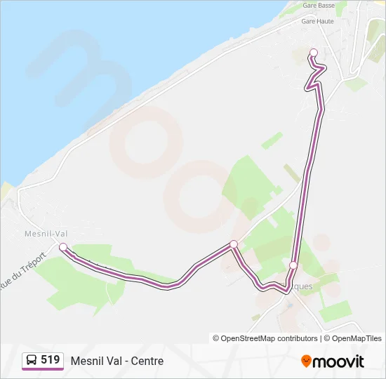519 Bus Line Map
