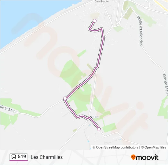 Mapa de 519 de autobús