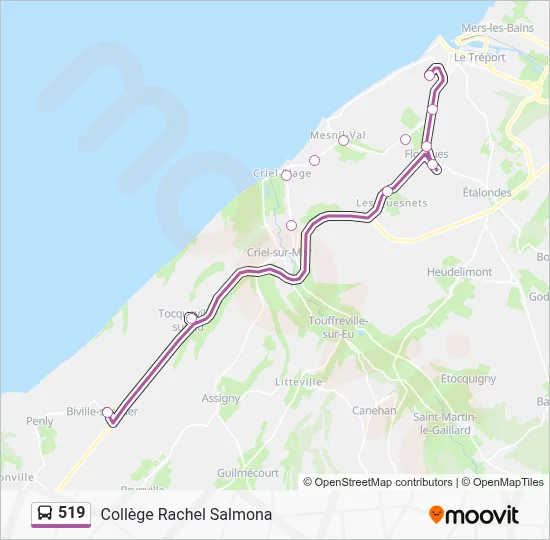 Plan de la ligne 519 de bus