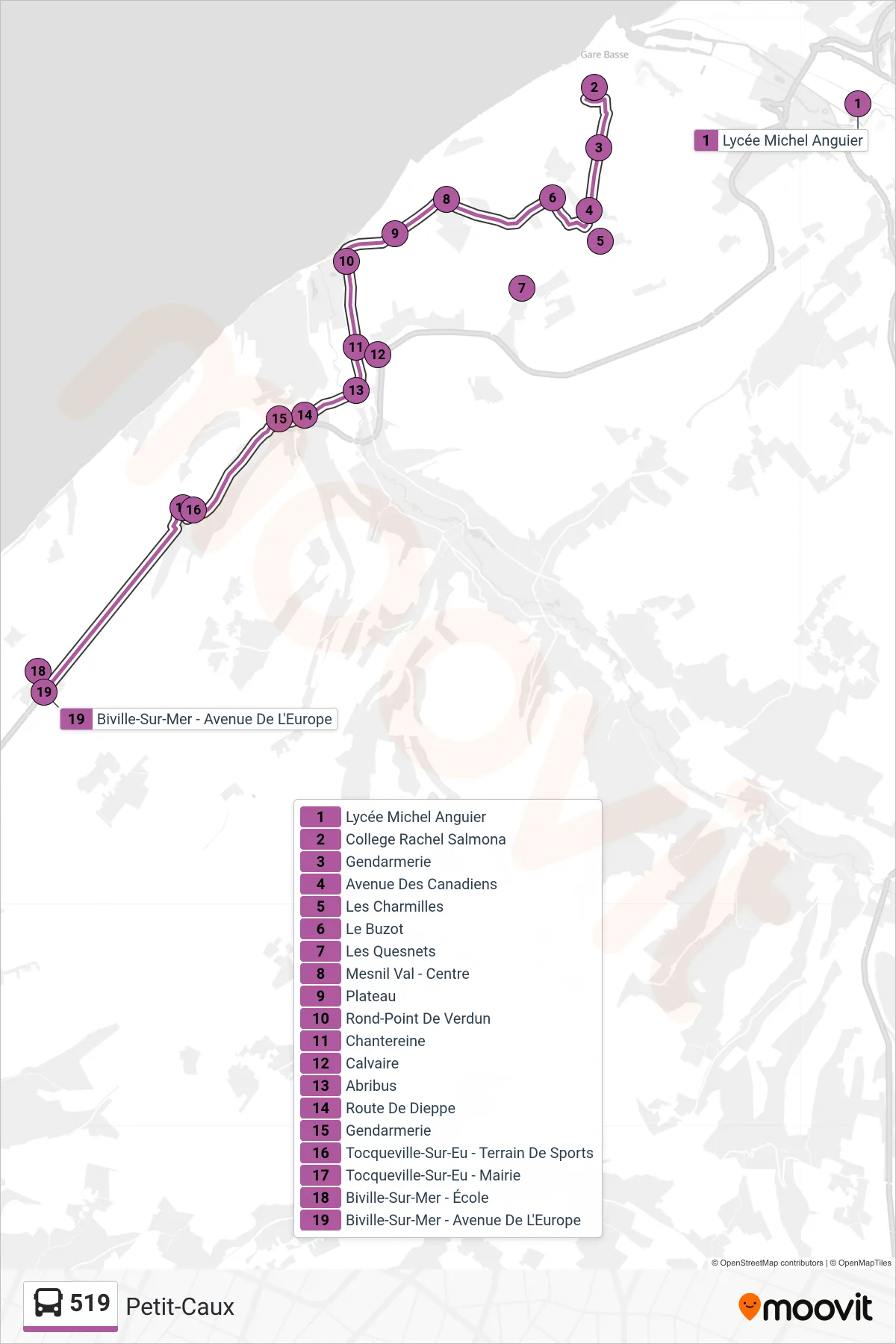Tracé et arrêts de la ligne 519 de bus (Petit-Caux) sur une carte