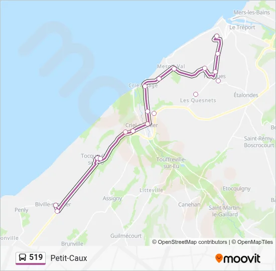 519 Bus Line Map