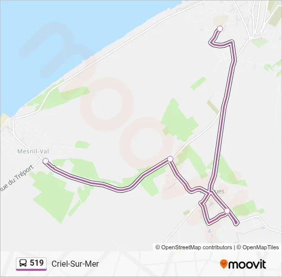 519 Bus Line Map