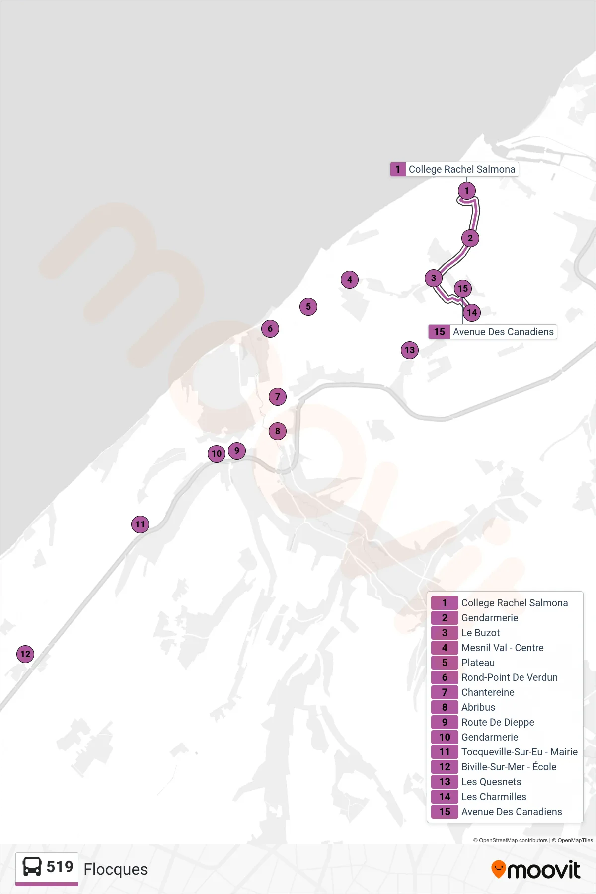 Tracé et arrêts de la ligne 519 de bus (Flocques) sur une carte