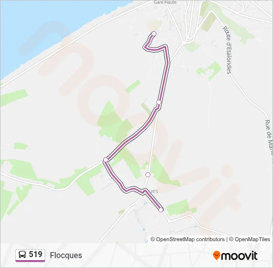 519 Bus Line Map