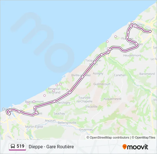 519 Bus Line Map