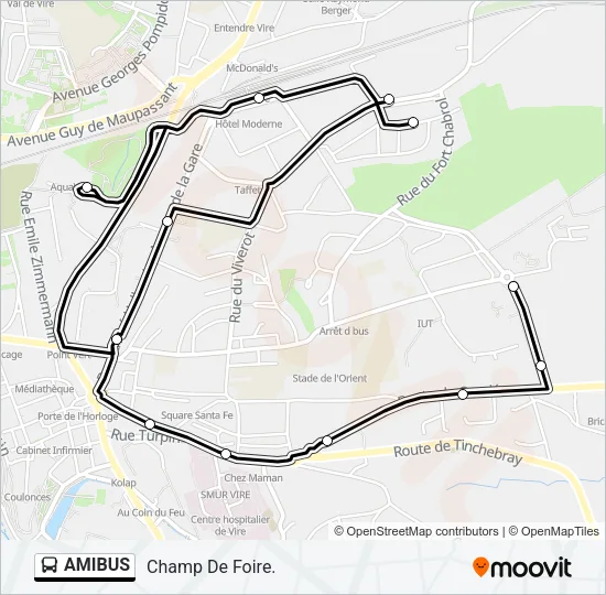 AMIBUS Bus Line Map