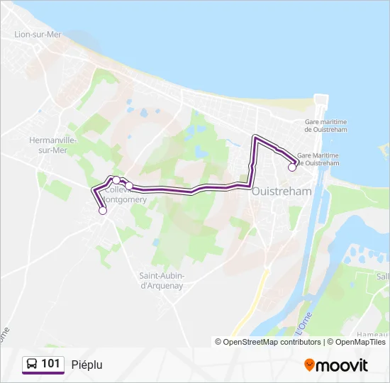 Plan de la ligne 101 de bus