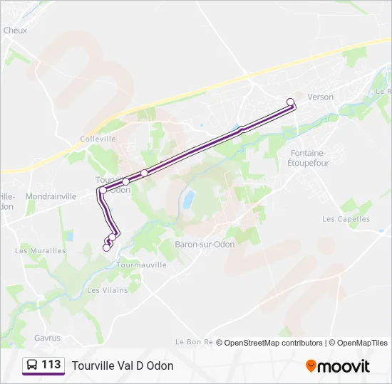 113 Bus Line Map