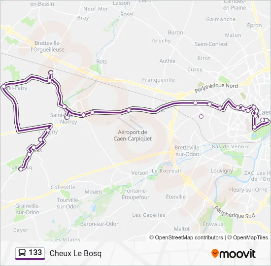 133 Bus Line Map