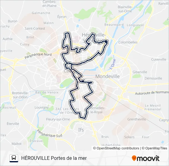 NOCTIBUS Bus Line Map
