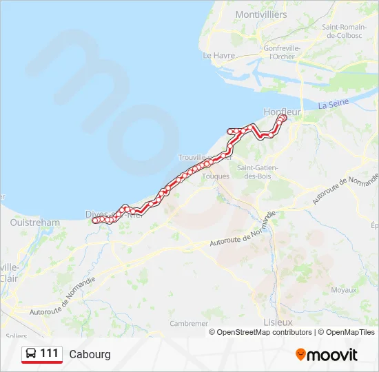 111 Bus Line Map