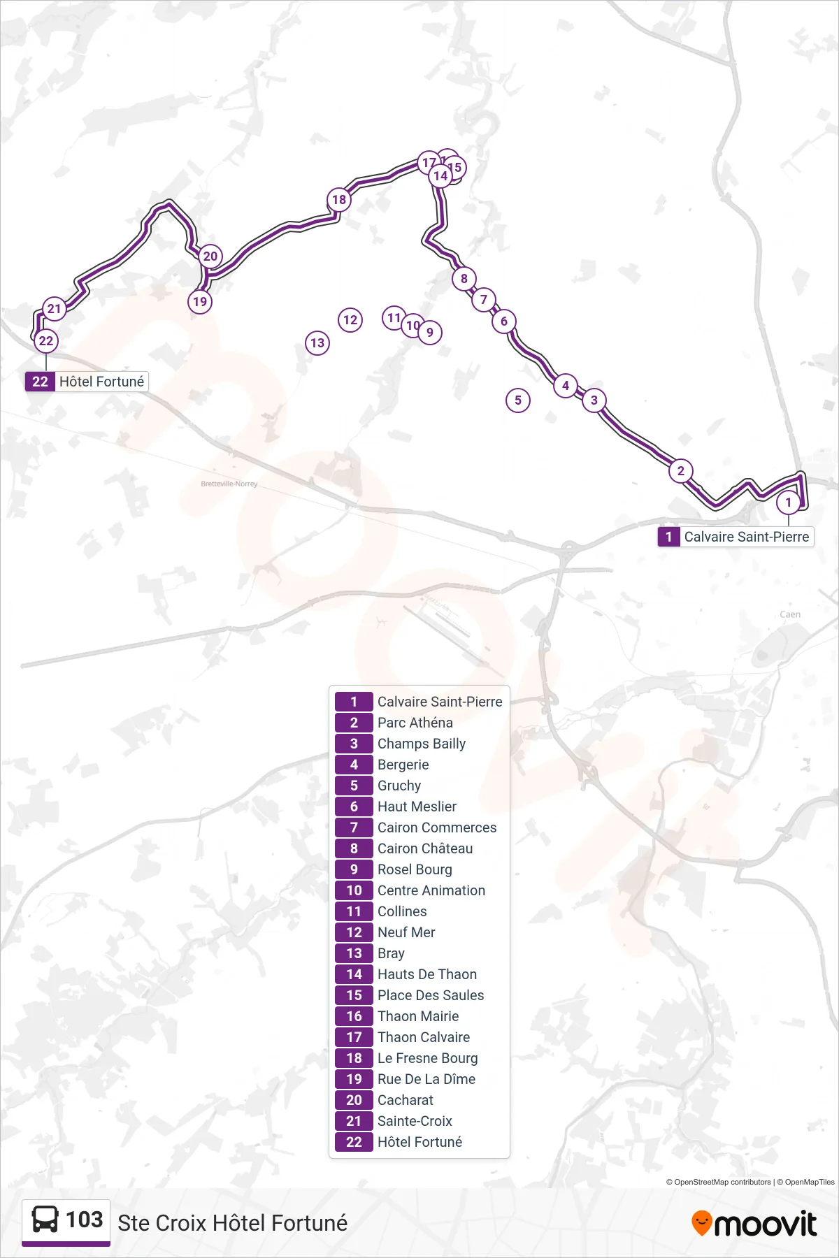 Tracé et arrêts de la ligne 103 de bus (Ste Croix Hôtel Fortuné) sur une carte
