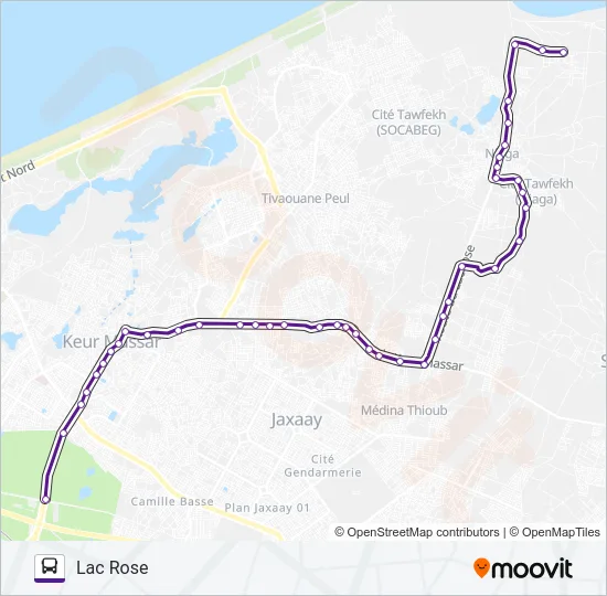 311 Bus Line Map