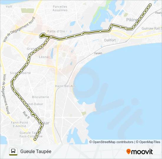 31 Bus Line Map