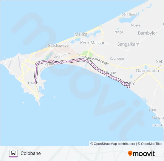 60 Bus Line Map
