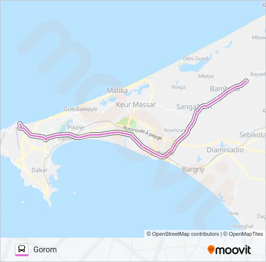 66 Bus Line Map