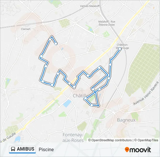 AMIBUS Bus Line Map