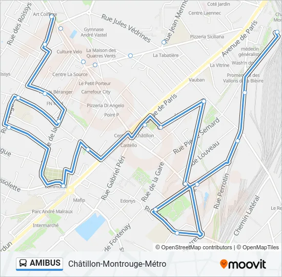 AMIBUS Bus Line Map