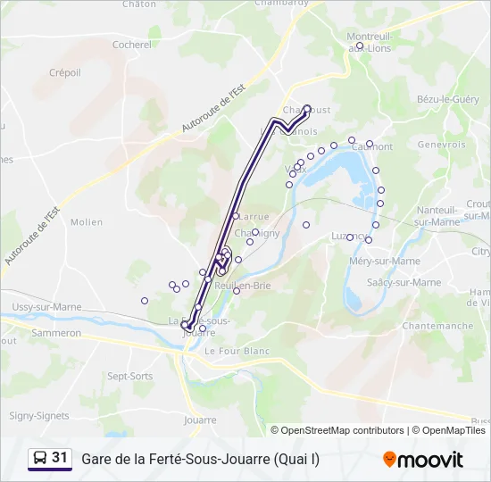 31 Bus Line Map