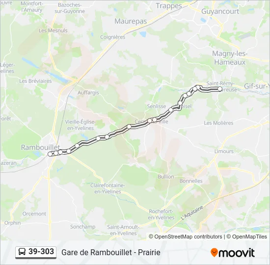39-303 Bus Line Map