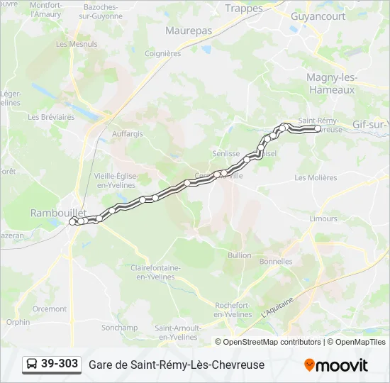39-303 Bus Line Map