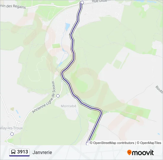 3913 Bus Line Map