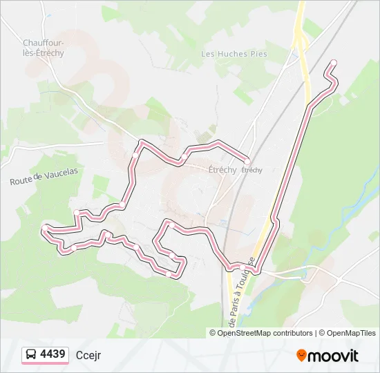 4439 Bus Line Map